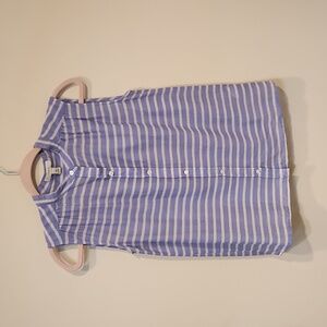J. Crew Blue and White Striped Sleeveless Button Up Blouse